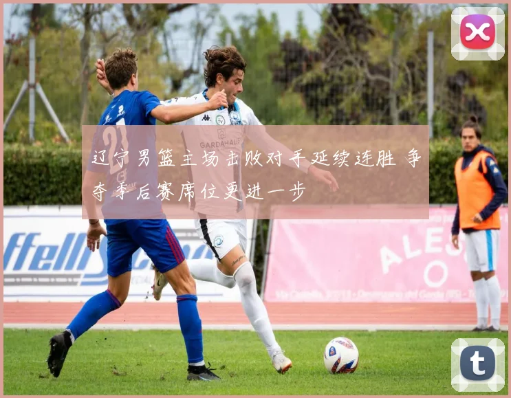 辽宁男篮主场击败对手延续连胜 争夺季后赛席位更进一步